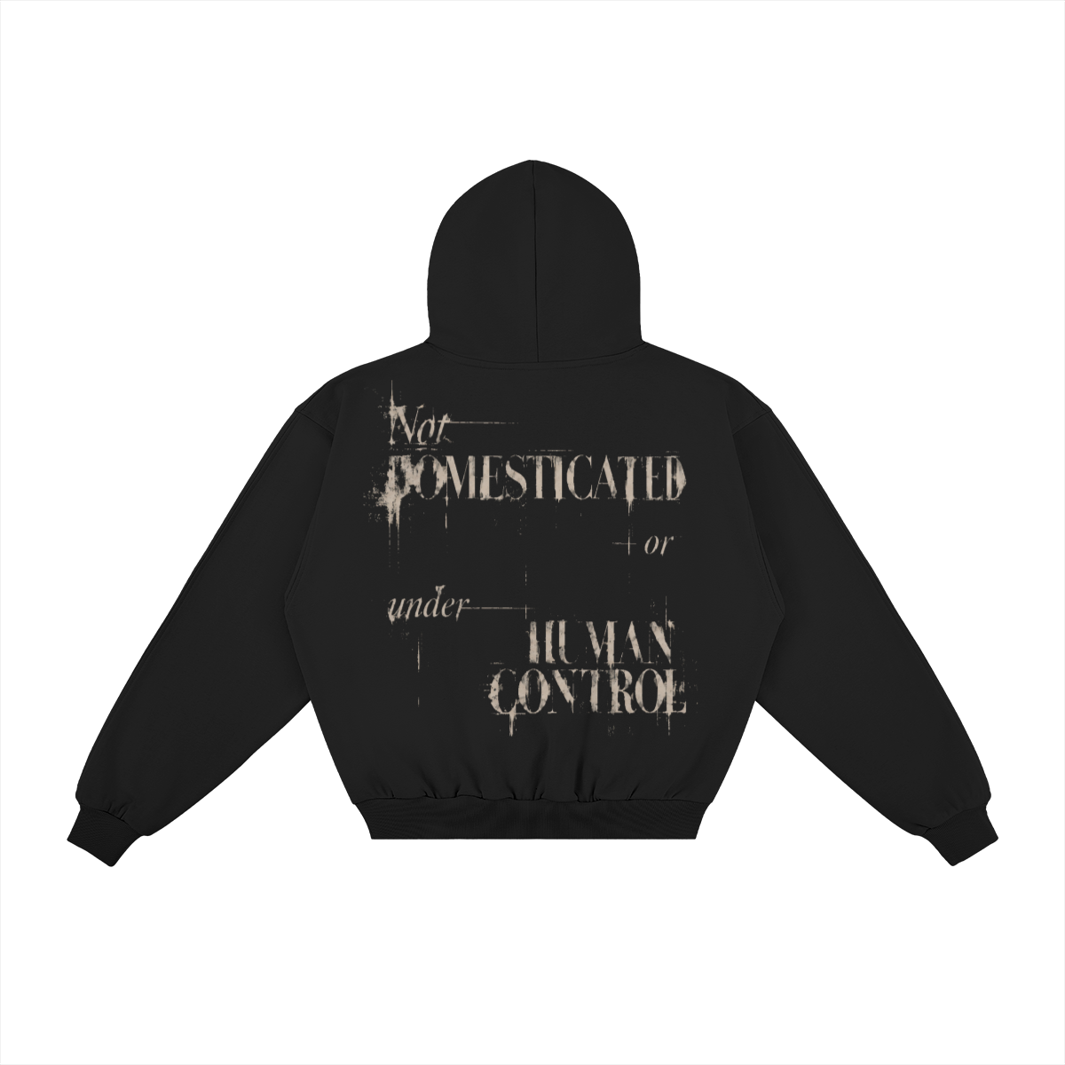0-YIV-Back Side
